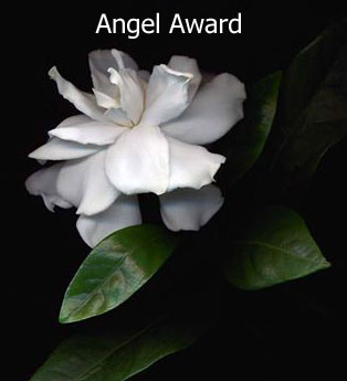 award-angel_edited-1