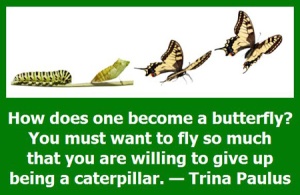 Caterpillar-to-Butterfly