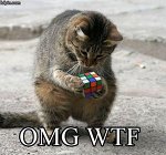 cat_with_rubix_cube_by_Squeaky_Scorpio58